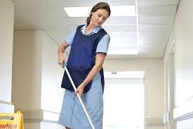 Cleaners Winnington: Domestic cleaning